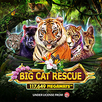 BIG CAT RESCUE